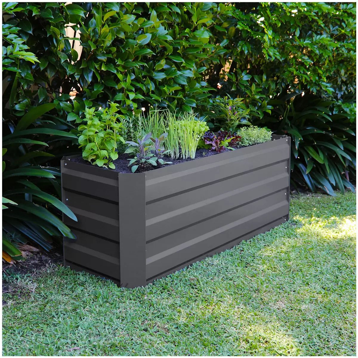 Gray metal garden bed with plants against a green bush background