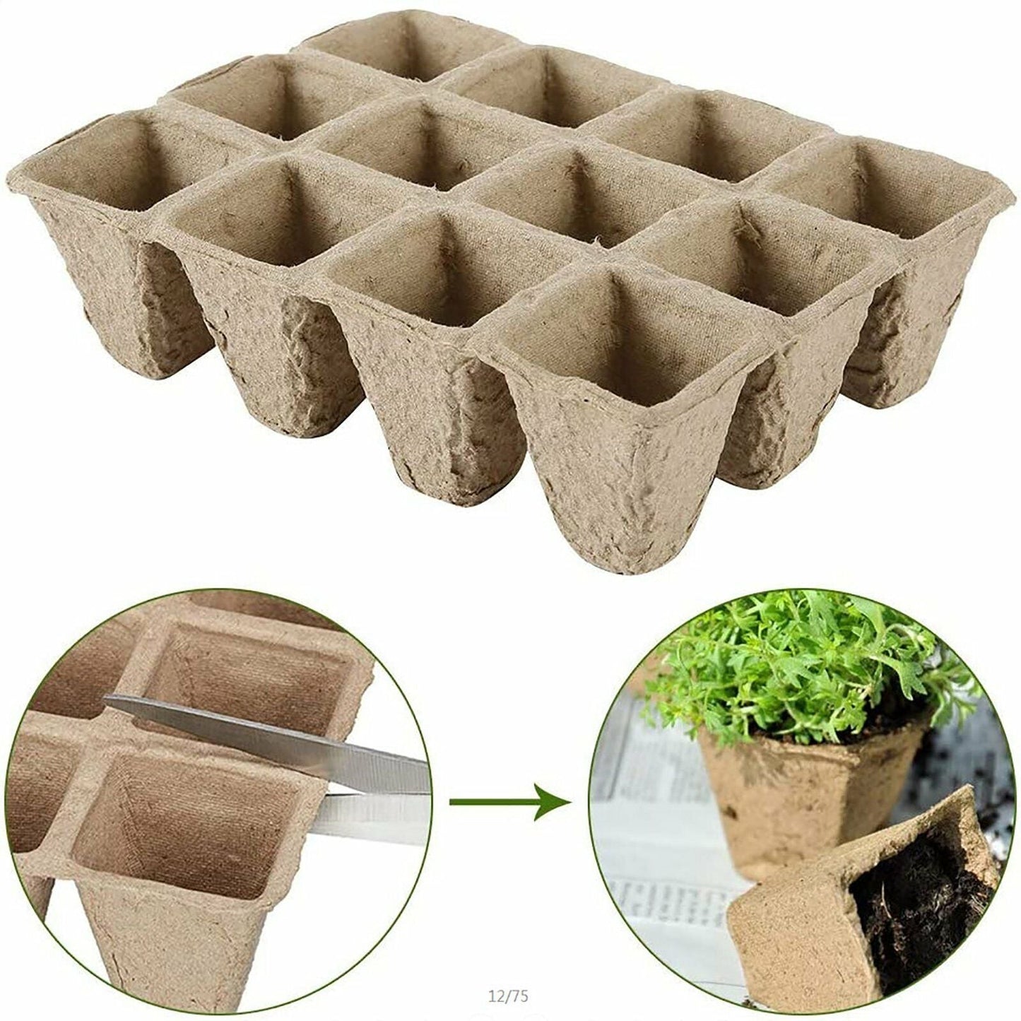 10pcs Biodegradable Seedling Trays – 12 - Hole Garden Starter - Gardening DownunderHome & Garden > Garden Tools > Gardening Tools