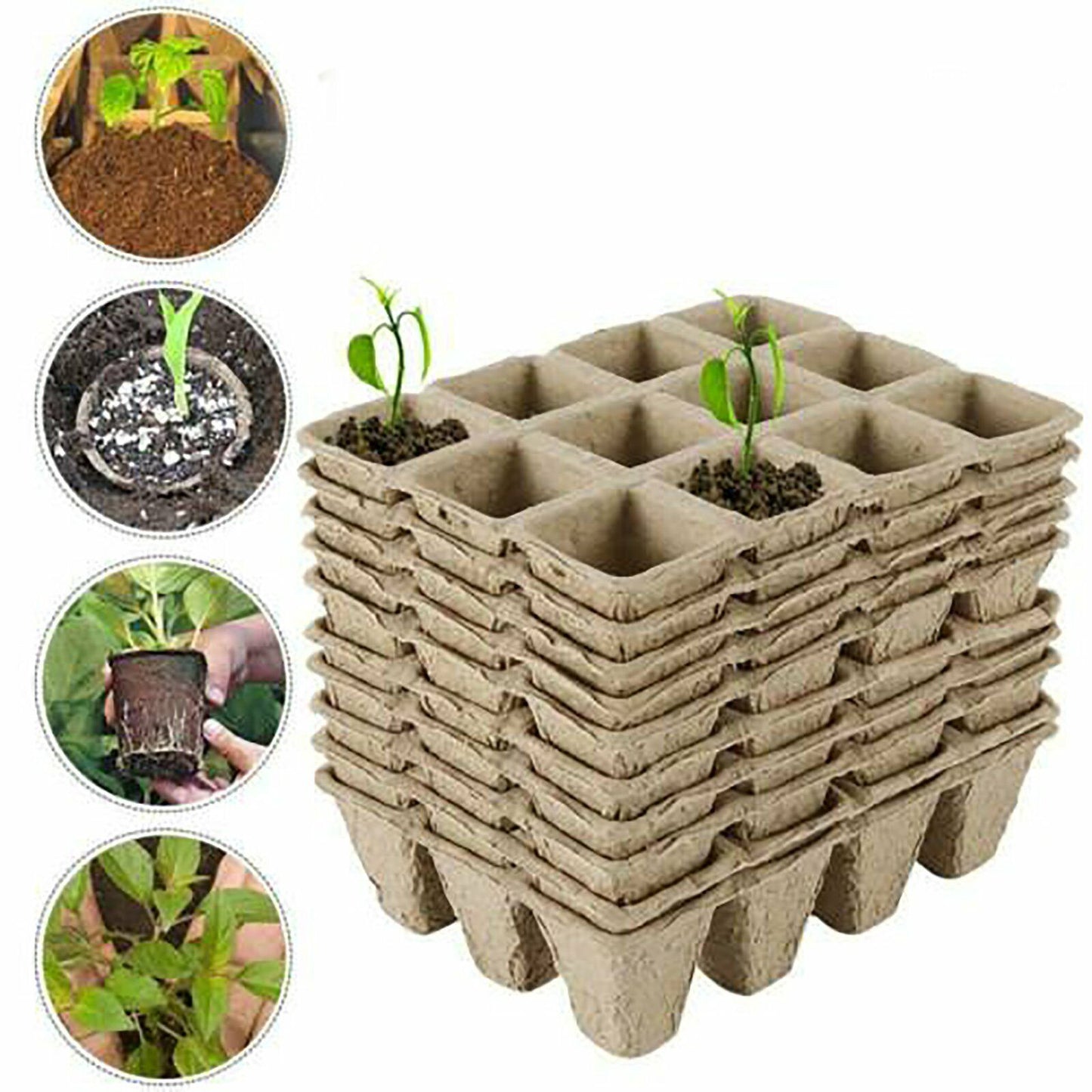 10pcs Biodegradable Seedling Trays – 12 - Hole Garden Starter - Gardening DownunderHome & Garden > Garden Tools > Gardening Tools