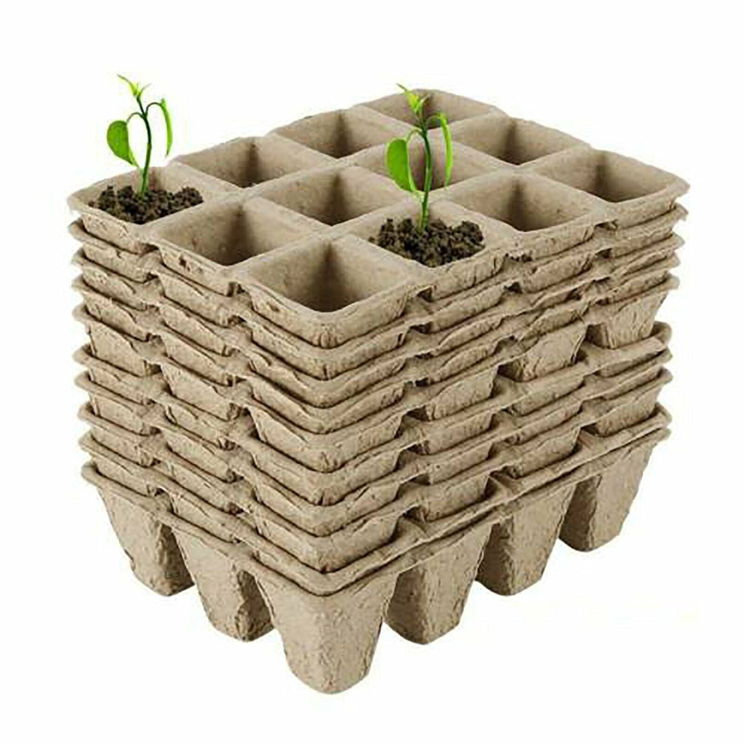 10pcs Biodegradable Seedling Trays – 12 - Hole Garden Starter - Gardening DownunderHome & Garden > Garden Tools > Gardening Tools