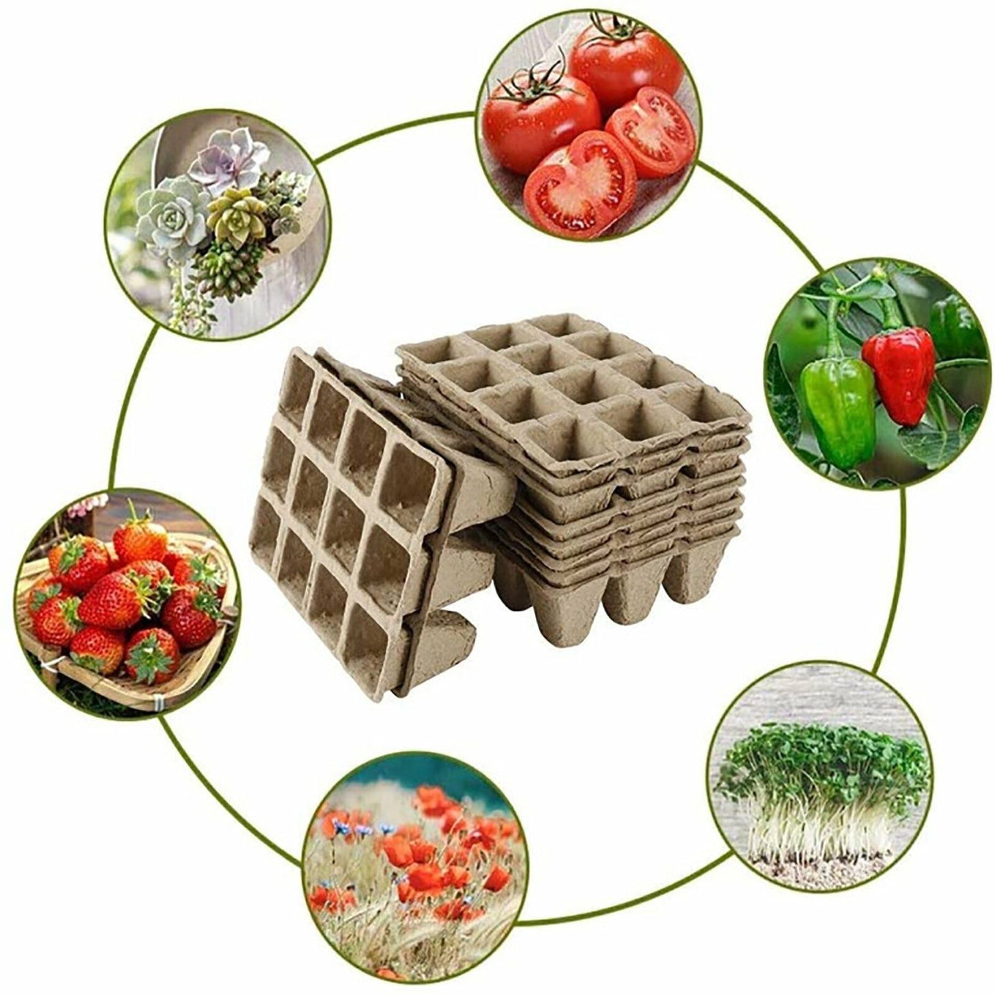 10pcs Biodegradable Seedling Trays – 12 - Hole Garden Starter - Gardening DownunderHome & Garden > Garden Tools > Gardening Tools