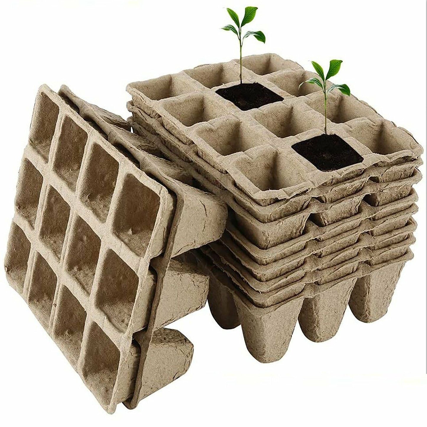 10pcs Biodegradable Seedling Trays – 12 - Hole Garden Starter - Gardening DownunderHome & Garden > Garden Tools > Gardening Tools