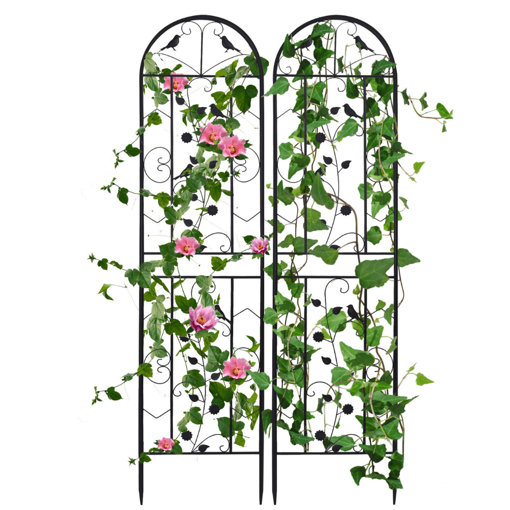 2 Pack Garden Trellis Patio Metal Wire Lattices Grid Panels for Climbing Plants - Gardening DownunderGeneral Product