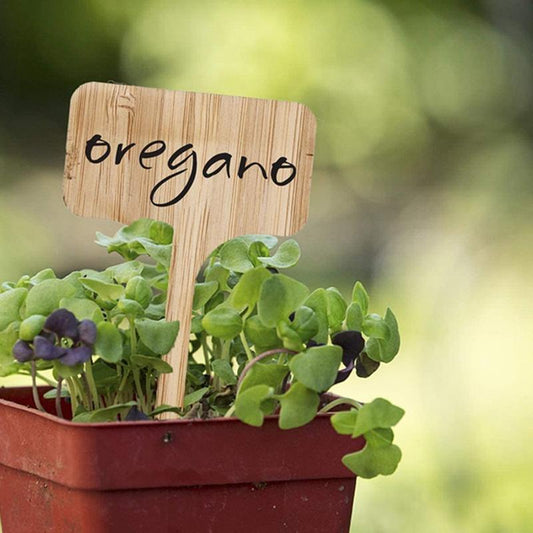 50PCS Bamboo Plant Label Set – Eco - Friendly Garden Markers - Gardening DownunderHome & Garden > Garden Tools > Gardening Accessories