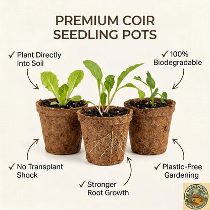 6.5cm Biodegradable Coir Seedling Pots – 8 Pack - Gardening Downunder