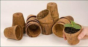 6.5cm Biodegradable Coir Seedling Pots – 8 Pack - Gardening Downunder
