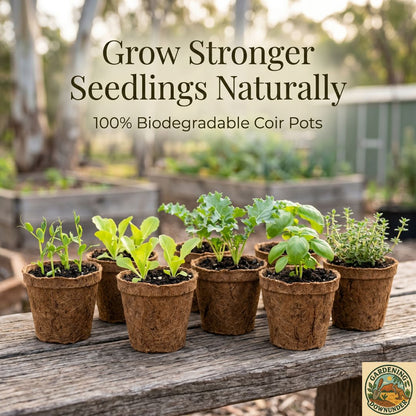 6.5cm Biodegradable Coir Seedling Pots – 8 Pack - Gardening Downunder