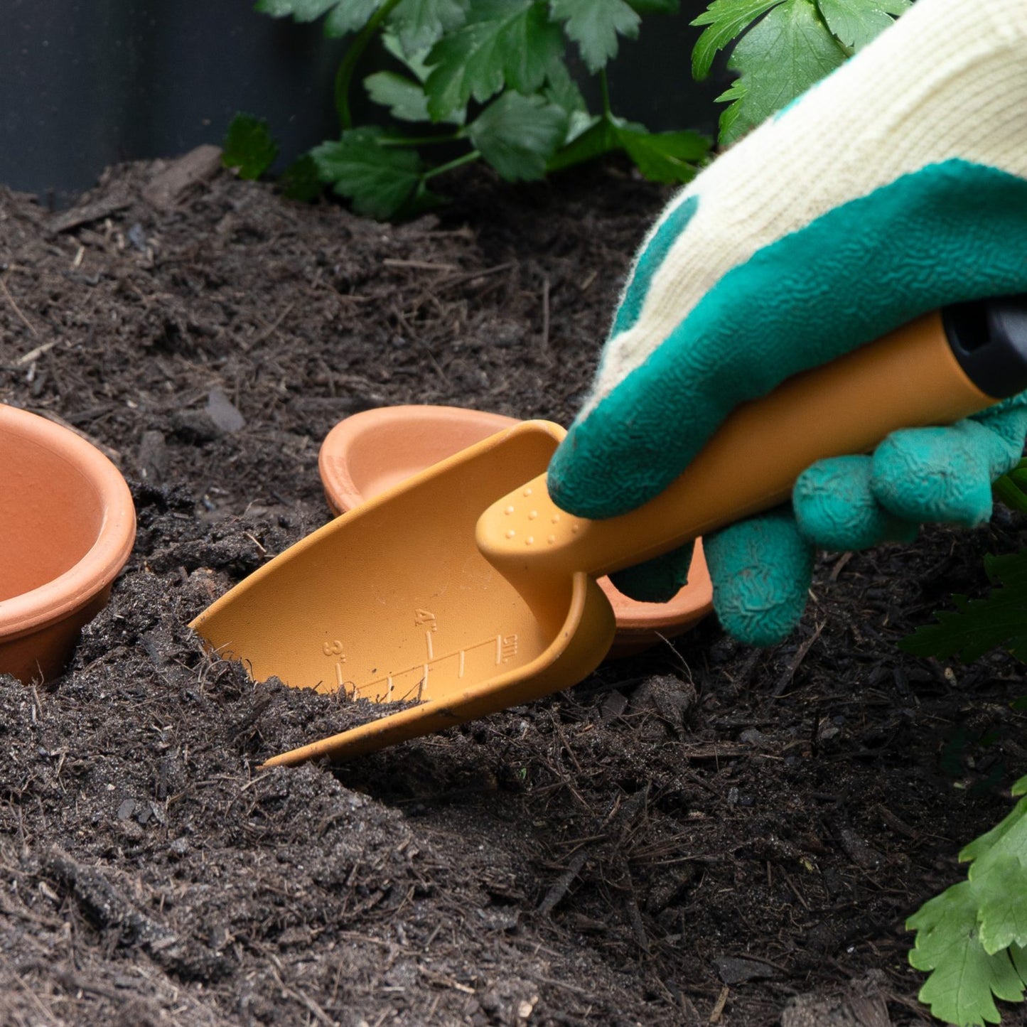Ergonomic garden transplanter for seedlings flowers and vegetables