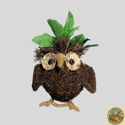 Charming owl planter filled with greenery, ideal as a gift for gardeners and plant enthusiasts.