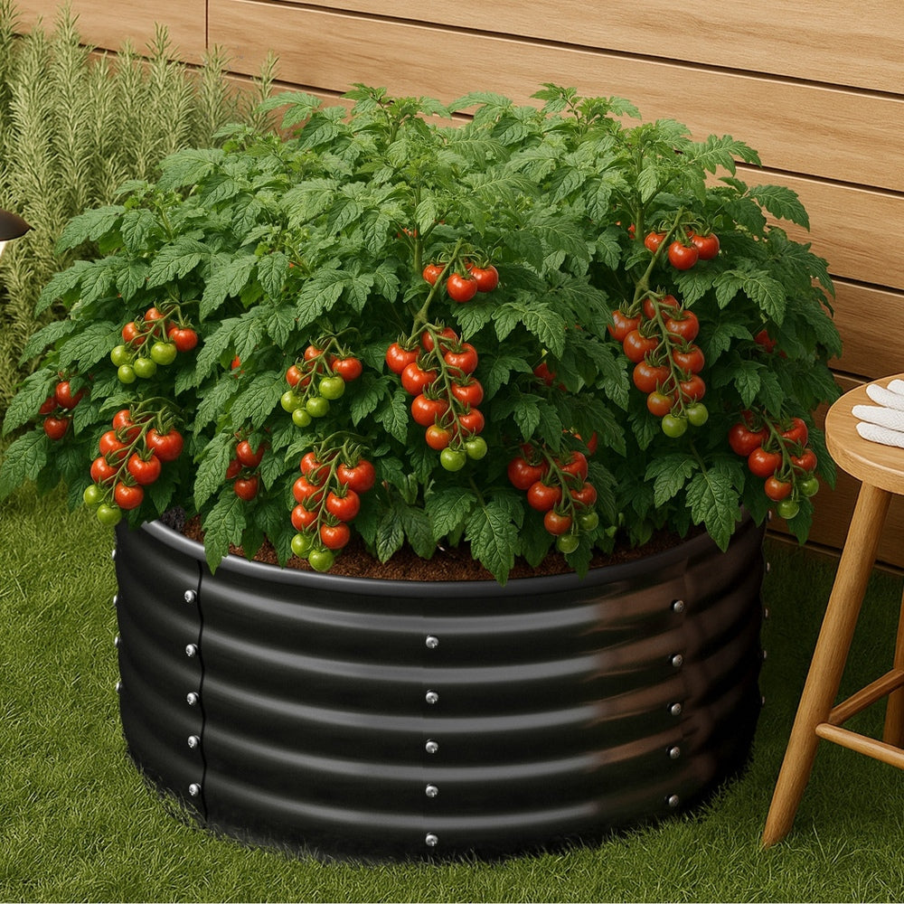Durable raised garden bed for organised backyard growing