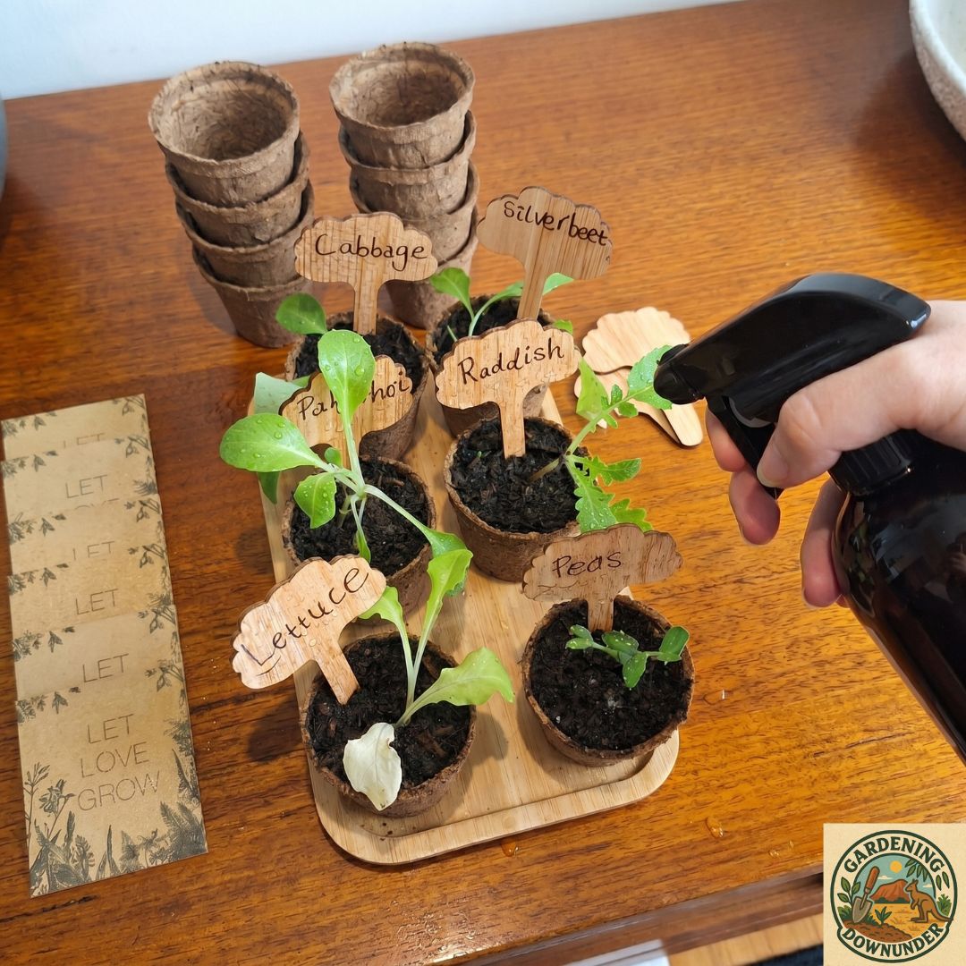 Eco Seed Starter Kit – Sustainable Grow Your Own Garden Bundle
