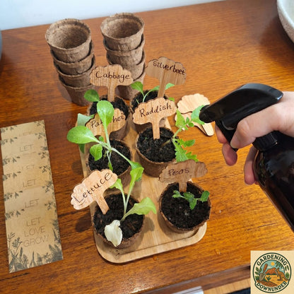 Eco Seed Starter Kit – Sustainable Grow Your Own Garden Bundle