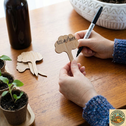 Eco Seed Starter Kit – Sustainable Grow Your Own Garden Bundle