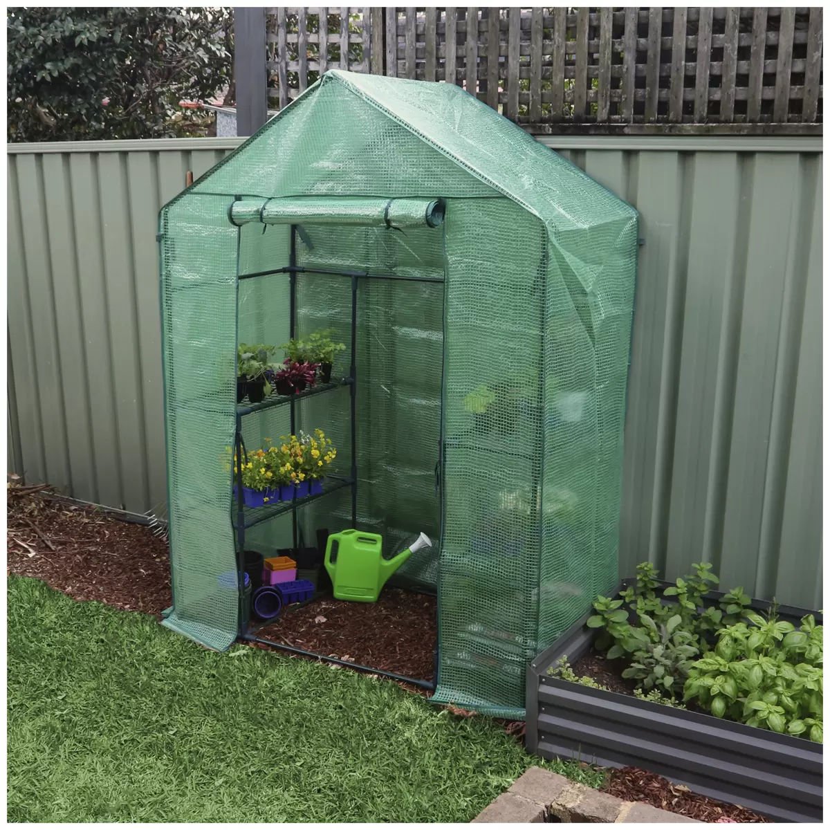 All - Season Walk - in Greenhouse Twin Pack – 2 Tier Steel Frame 195 × 143 × 73 cm - Gardening DownunderHome & Garden > Greenhouses > Greenhouses & Accessories