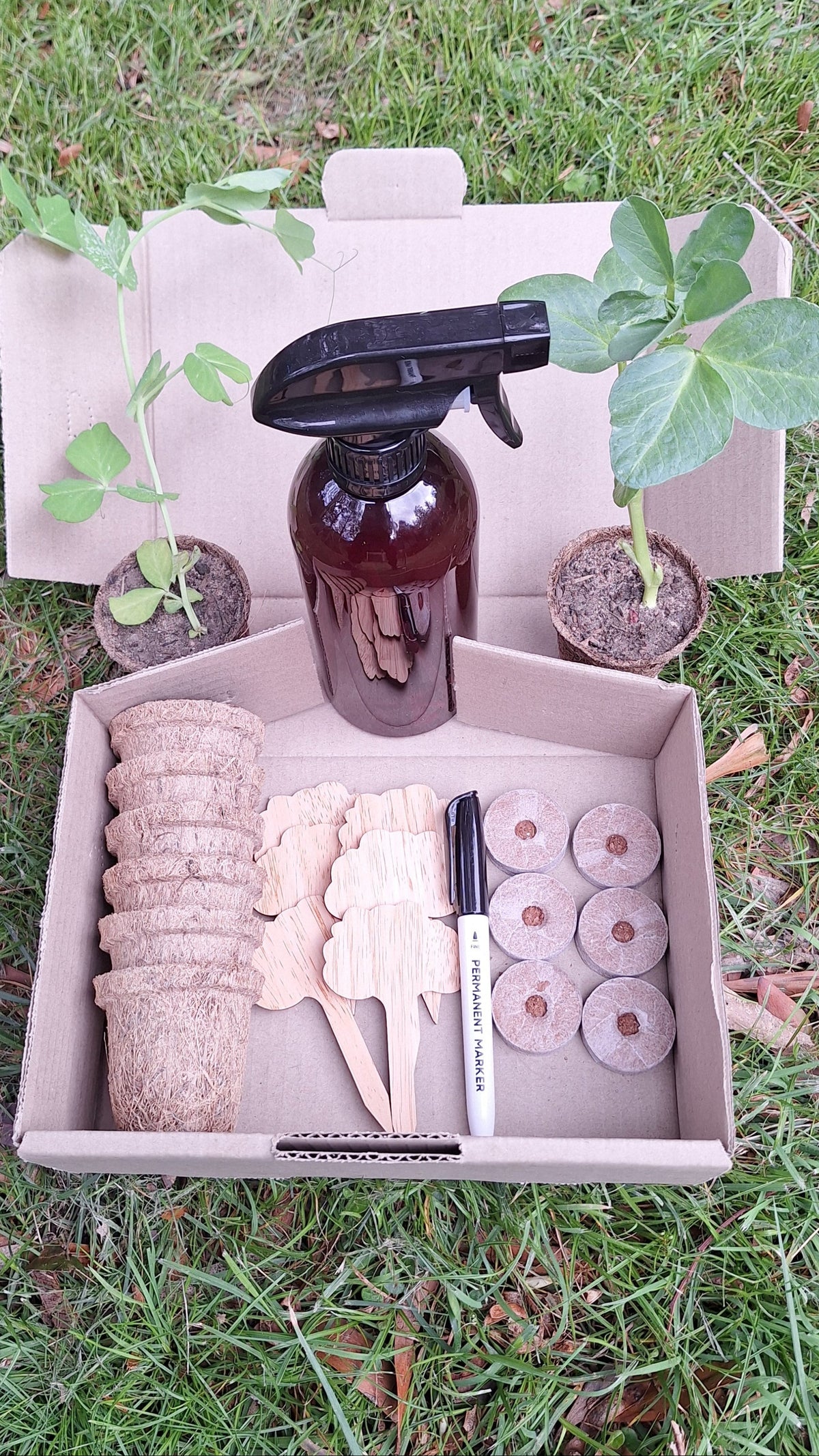 Beginner seed starting kit with coir pots, growing discs, bamboo markers, marker pen and spray bottle