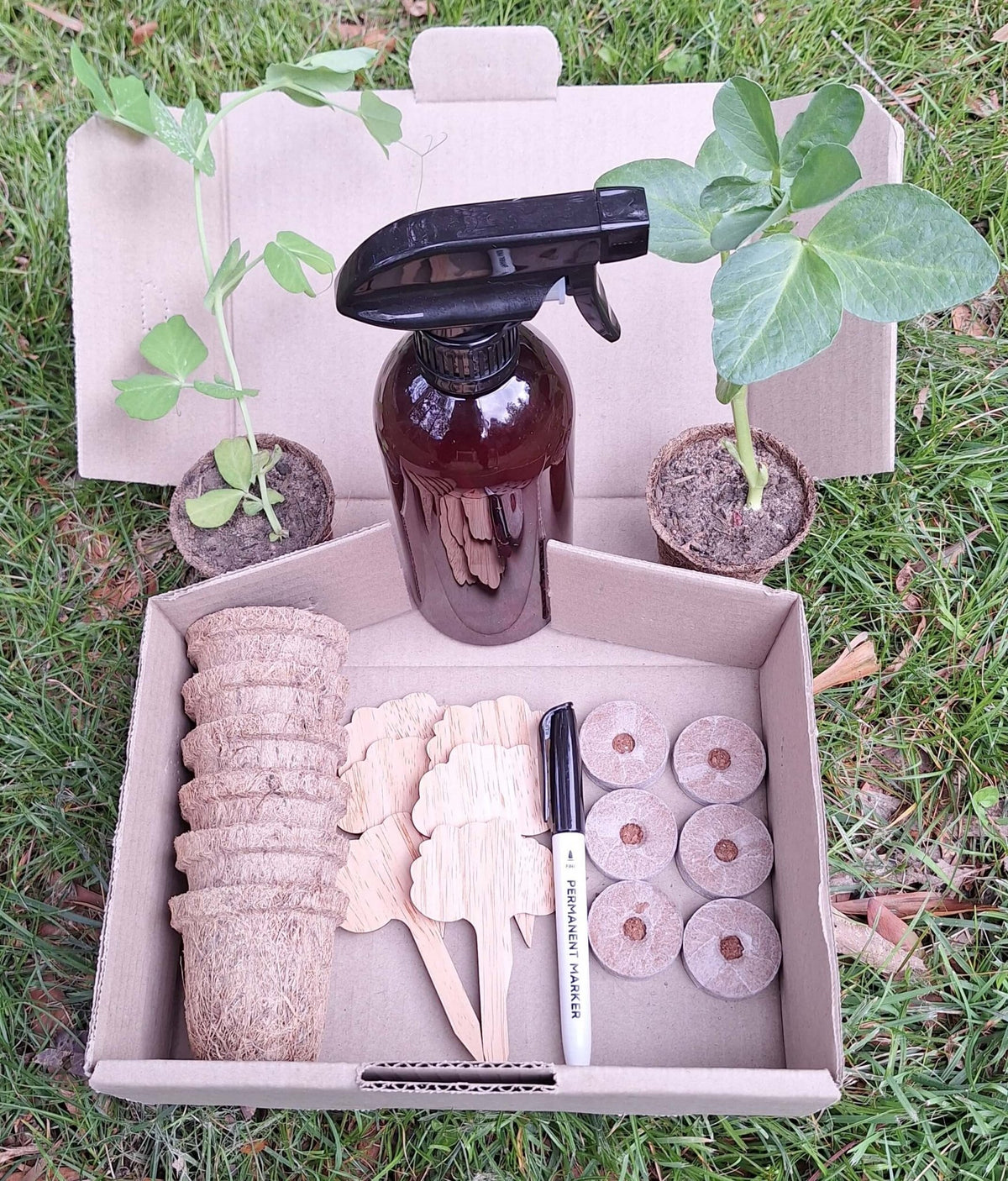 Eco-Friendly Beginner Seed Starting Kit - Gardening Downunder