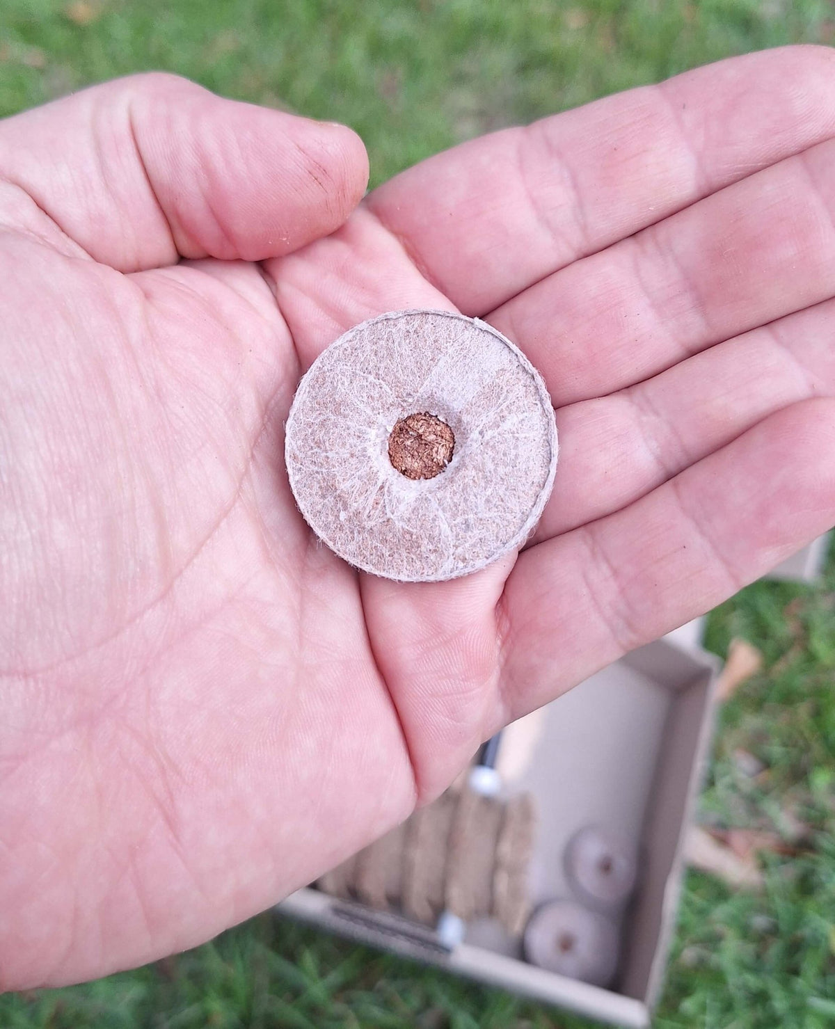 Eco-Friendly Beginner Seed Starting Kit - Gardening Downunder