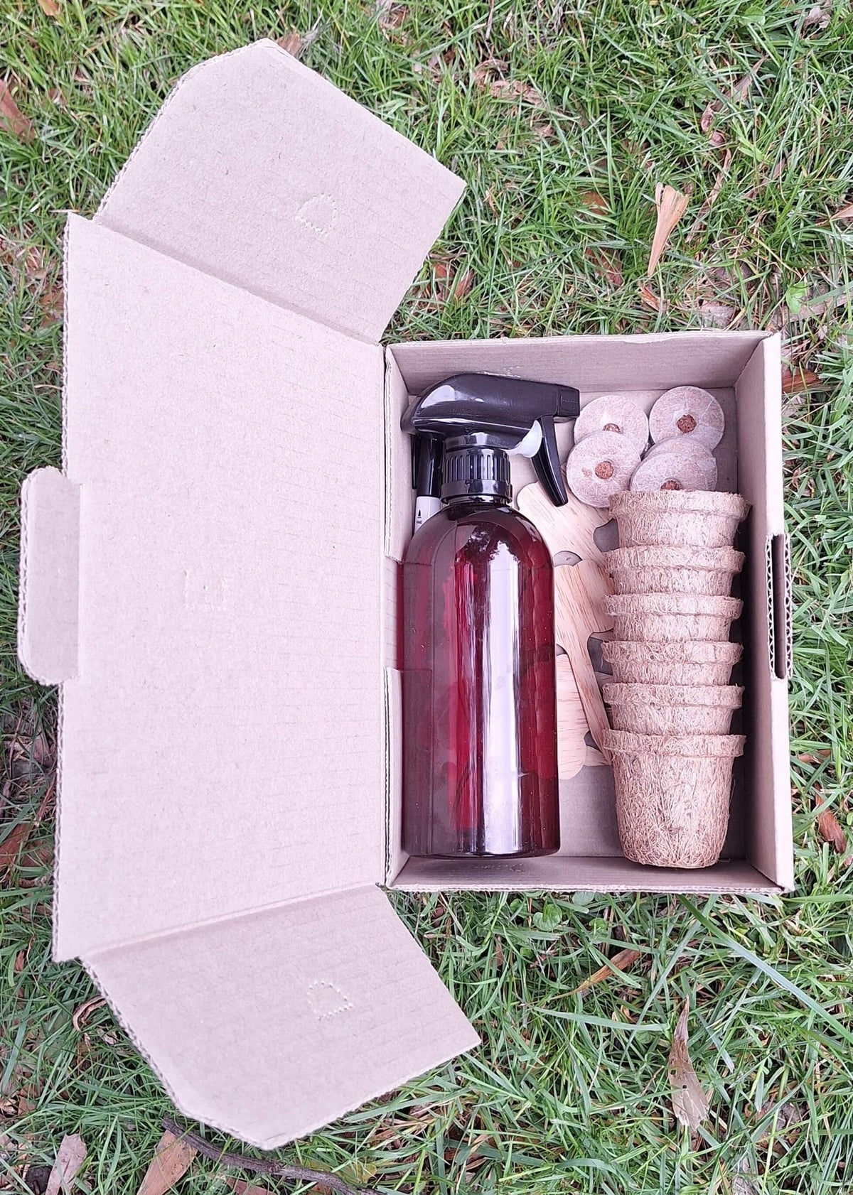 Eco-Friendly Beginner Seed Starting Kit - Gardening Downunder