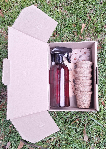 Eco-Friendly Beginner Seed Starting Kit - Gardening Downunder