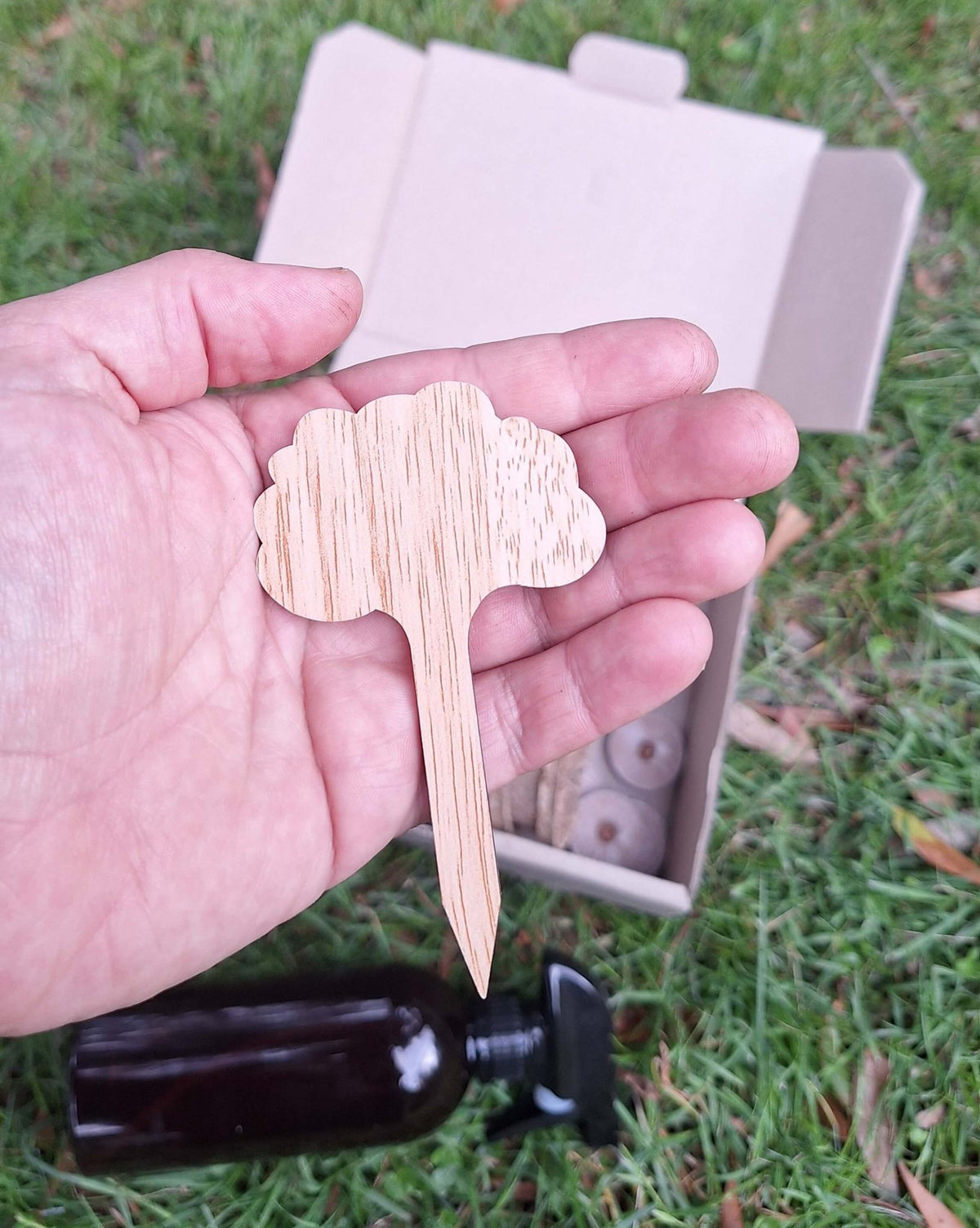 Eco-Friendly Beginner Seed Starting Kit - Gardening Downunder