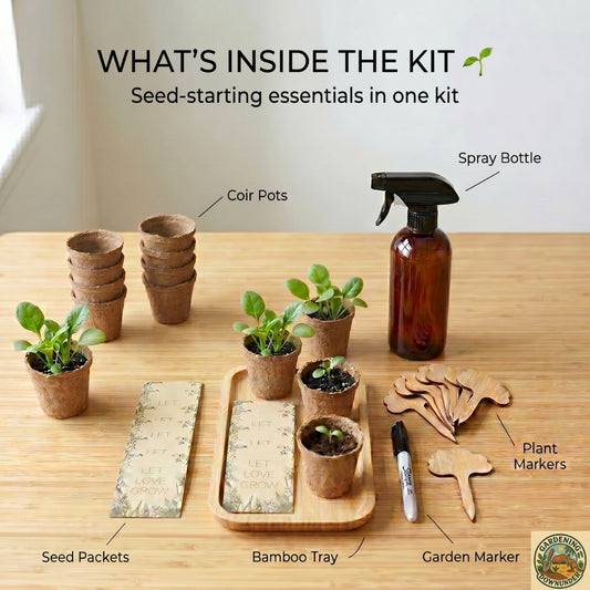 Eco Seed Starter Kit – Start Growing Your Own Food the Easy Way - Gardening Downunder