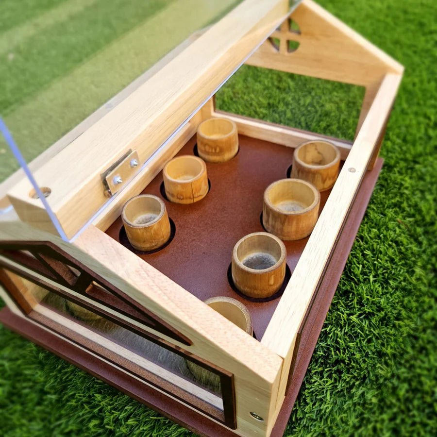 Eco Seed Starting Greenhouse Kit – Grow Strong Seedlings Naturally Indoors - Gardening DownunderHome & Garden > Greenhouses > Greenhouses & Accessories