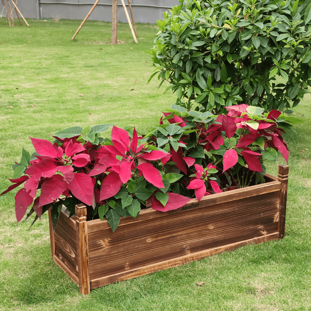 Elevated Wooden Planter Box - Gardening DownunderGeneral Product
