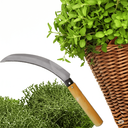 Harvest & Berry Sickle - Gardening DownunderHome & Garden > Garden Tools > Gardening Tools