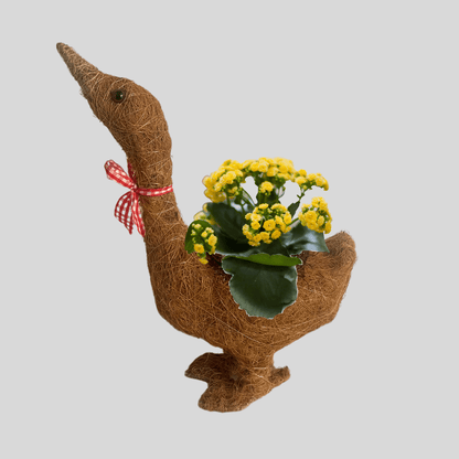 Natural Fibre Goose Planter - Gardening Downunder