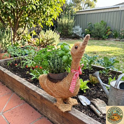 Natural Fibre Goose Planter - Gardening Downunder
