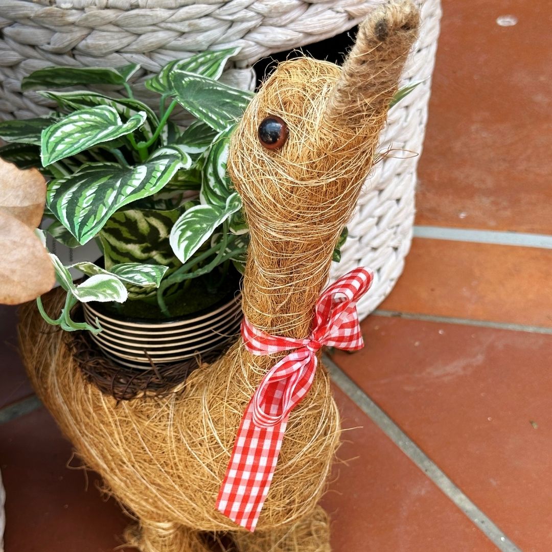 Natural Fibre Goose Planter - Gardening Downunder