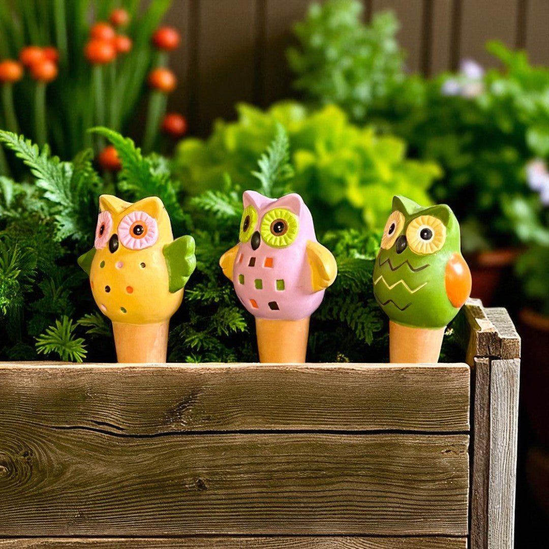 Owl Clay Watering Spikes - Gardening Downunder