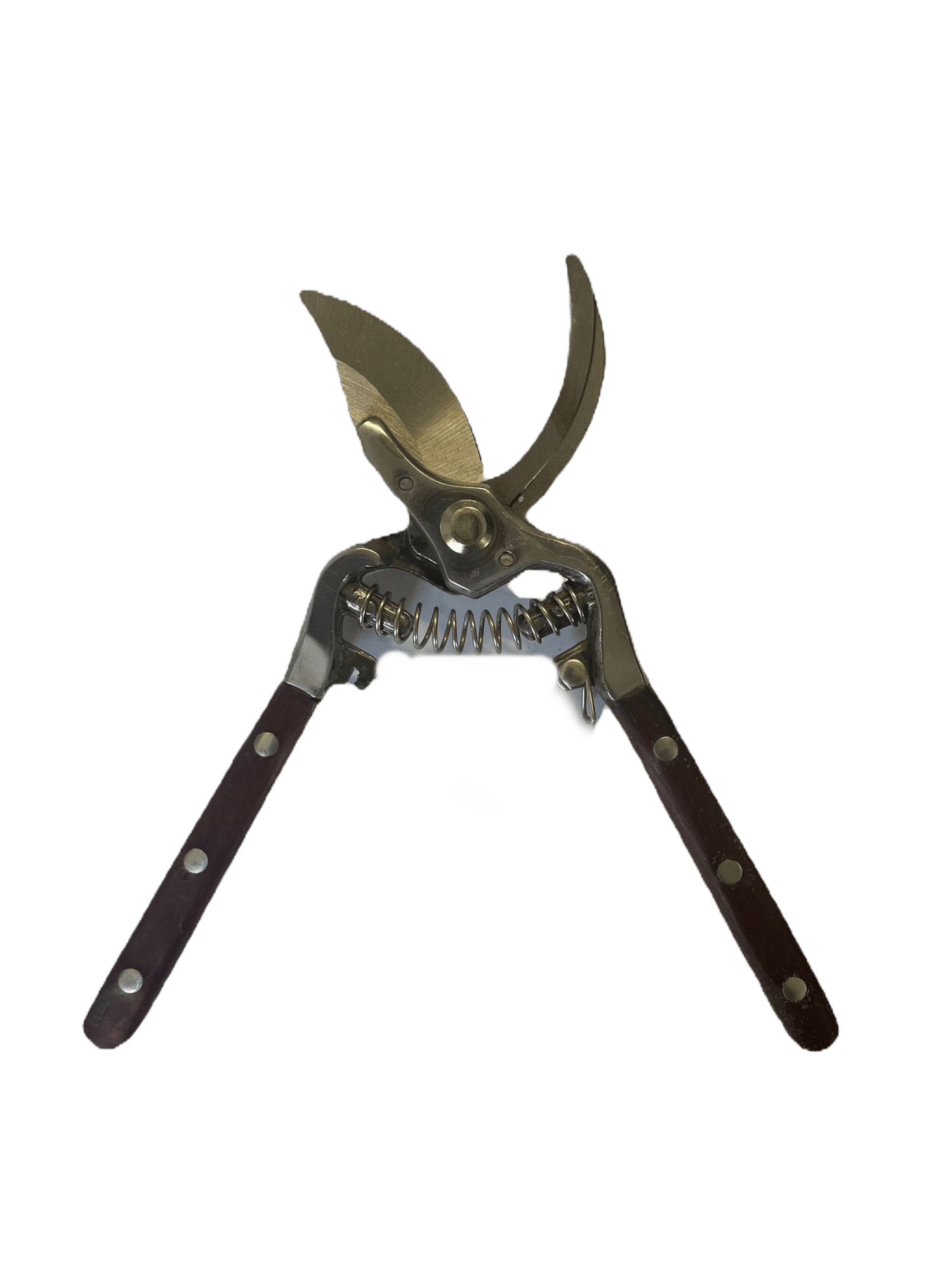 Premium Pruning Shears – Heat - Treated Drop - Forged Blades - Gardening DownunderHome & Garden > Garden Tools > Gardening Tools