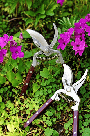 Premium Pruning Shears – Heat - Treated Drop - Forged Blades - Gardening DownunderHome & Garden > Garden Tools > Gardening Tools