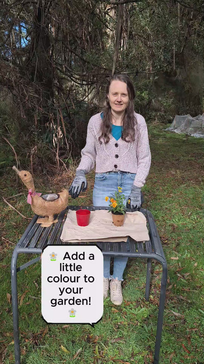 Natural Fibre Goose Planter