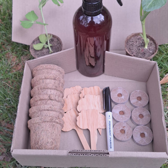 Eco seed starter kit