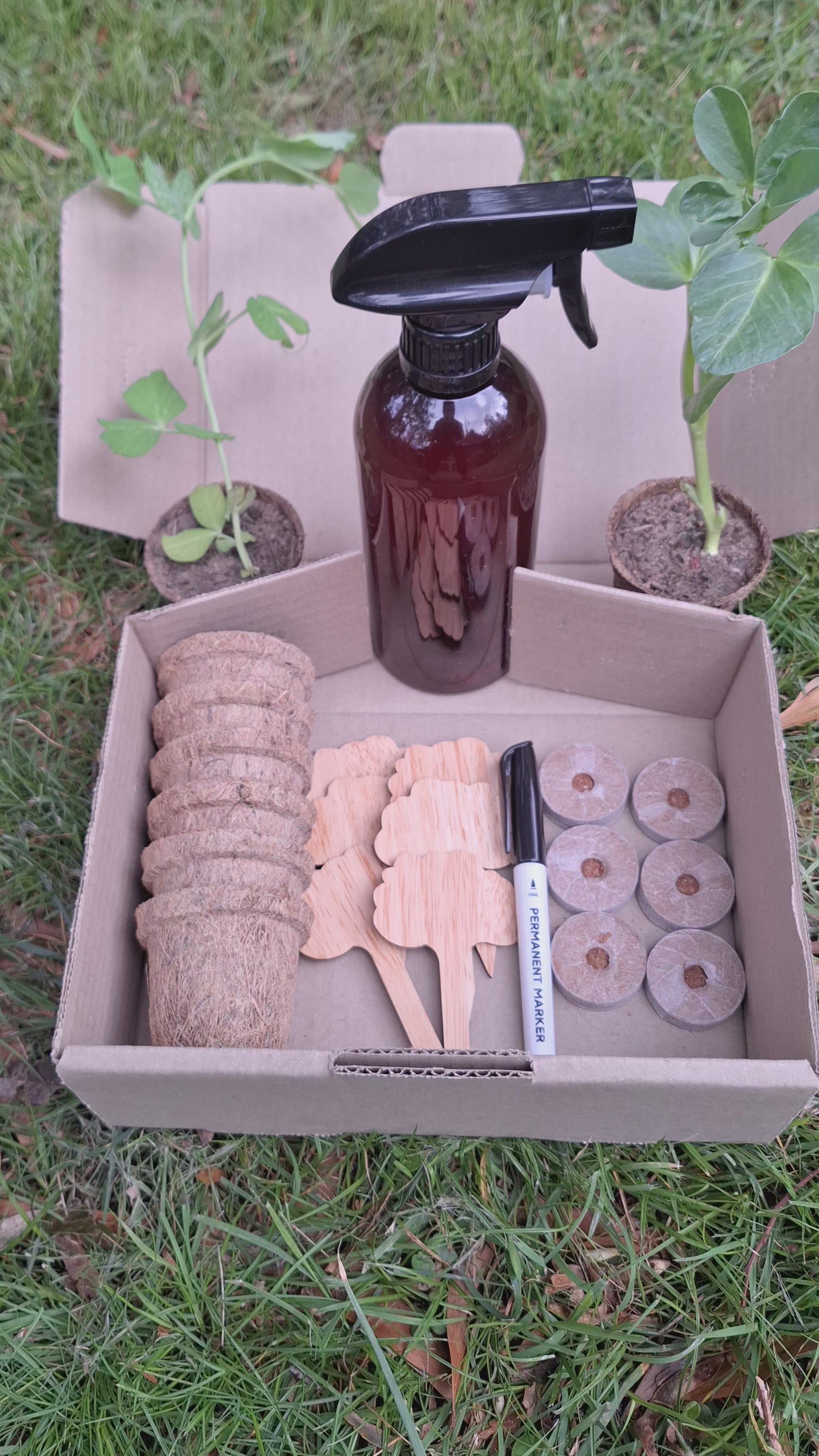 Eco seed starter kit