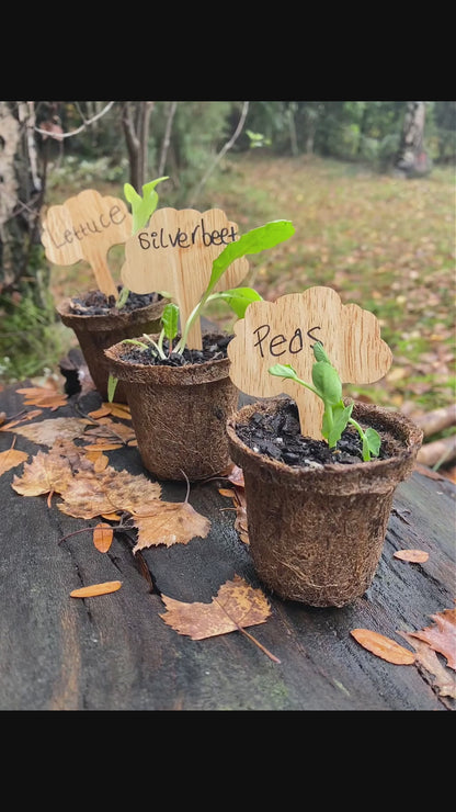 Bamboo Plant Markers 10 + Bonus Marker Pen