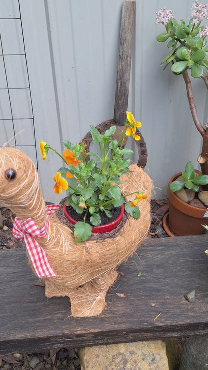 Natural Fibre Goose Planter