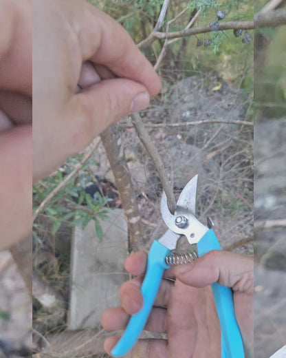 Effortless Pruner– Cordless Power with Dual Batteries