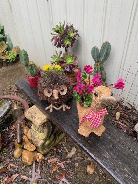 Rattan Standing Owl Planter - Gardening Downunder