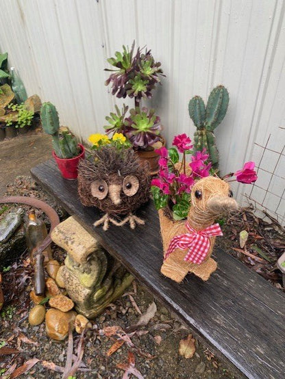 Rattan Standing Owl Planter - Gardening Downunder